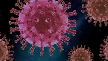 Reguli pentru prevenirea contaminării cu coronavirus (COVID-19)
